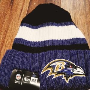 Ravens toboggan